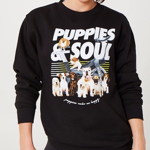 border collie grooming needs